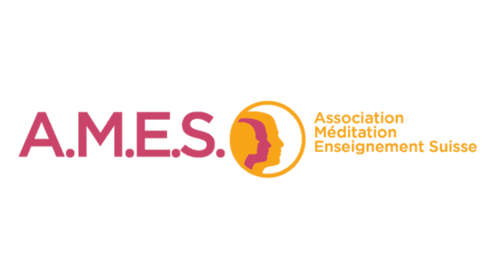 logo-ames 3
